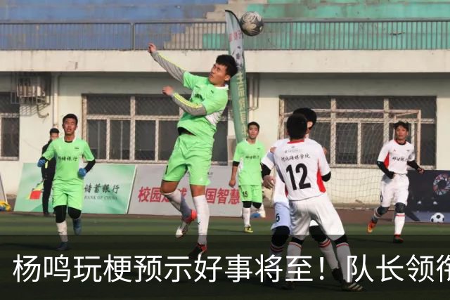 杨鸣玩梗预示好事将至！队长领衔送祝福，郭艾伦携张镇麟弗格再度老友重逢